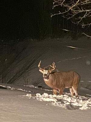 93503014 134340021541639 2092516596416249856 n