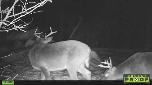 HUNT0677