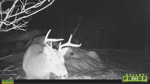 HUNT0453