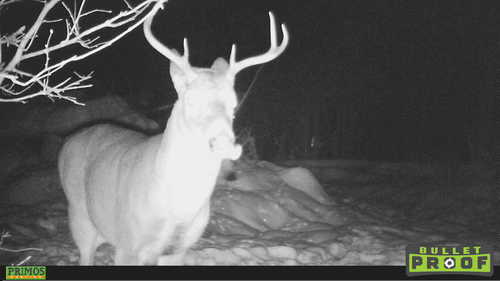 HUNT0741