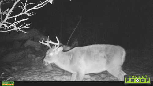 HUNT0889
