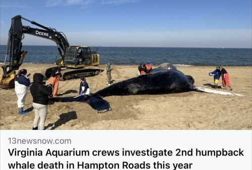 5F354443 18E5 47F7 A2BB D940E5C7B484